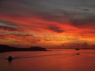 Arriving in Auckland 2013